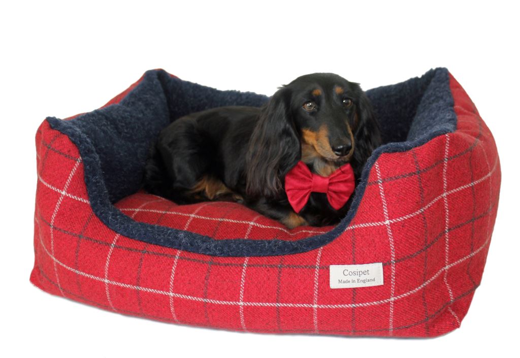 Rectangular Tweed Kalahari Dog Bed